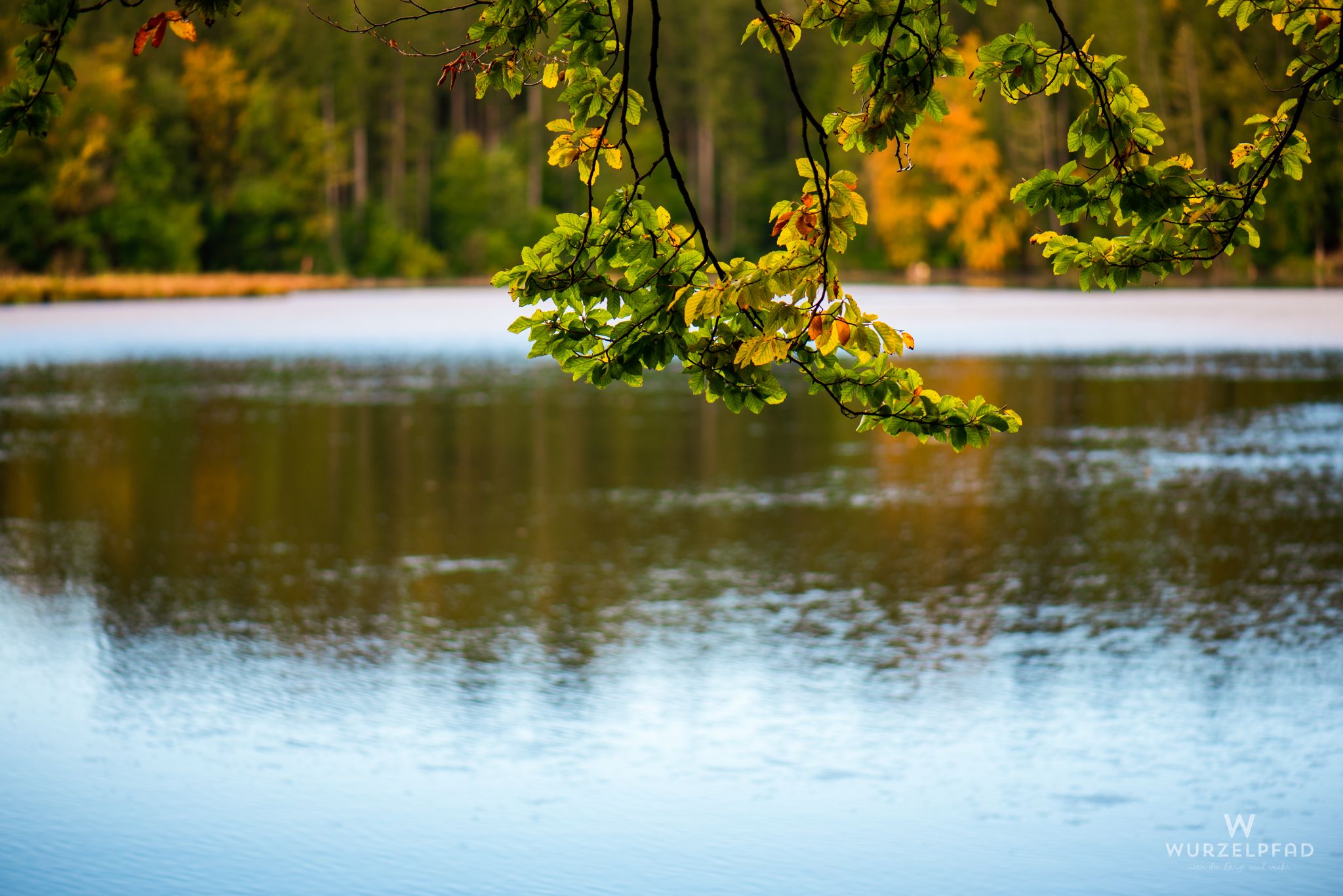 Blick über den Hackensee